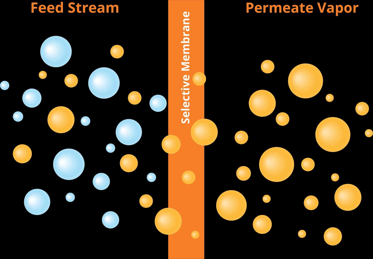 Pervaporation membrane used to separate water or organics from a liquid feed stream